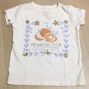 Crewcuts French Farmer’s Market Peaches Cream Graphic T-Shirt XS 4/5 - Picture 1 of 9