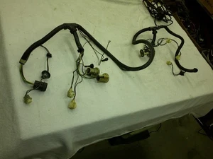 1978 - 1987 EL CAMINO REAR BUMPER TAIL LIGHT HARNESS - Picture 1 of 6