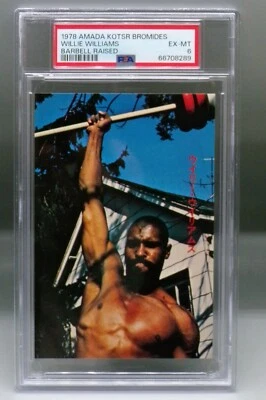 1978 japonés AMADA Willie Williams PSA 6 Karate MMA Pro Wrestling ¡PESO PESADO! Foto 1 de 3