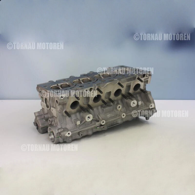 Culata Audi VW Seat Skoda 2.0 BLR / 06D 103 351 C Foto 1 de 1