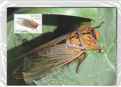 AUSTRALIA 2022 - CICADAS Insect SEALED set of 3 MAXICARDS / Maximum Cards    - Image 1 of 2