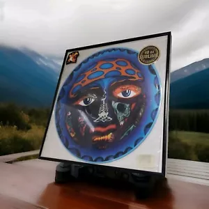 Sublime - 40oz to Freedom LP Limited Edition Picture Disc Blue Version Skunk - Picture 1 of 1
