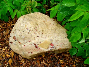 37+lb. MICHIGAN PUDDINGSTONE ROUGH SPECIMEN *MANNING HILL* - Picture 1 of 5