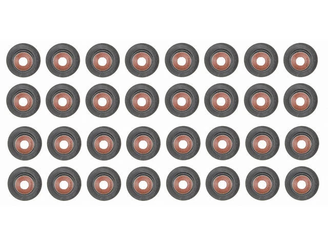 Kit de sellado de vástago de válvula de admisión y escape para F350 Super Duty 2003-2010 95QTSJ Foto 1 de 1