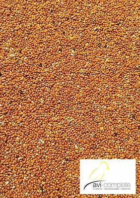 500g Hirse rot (5,67€/kg) von avi-complete