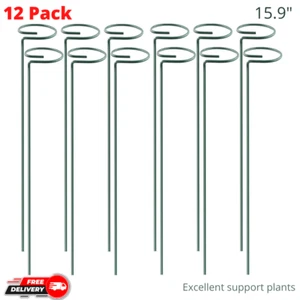 12 Pcs Plant Stake Support 15.9 inch Garden Stakes For Amaryllis Orchid Lily Ros - Picture 1 of 6