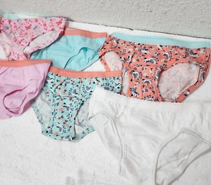 Fruit of the Loom 6-Pack Toddler Girl Brief Underwear, Multicolor, Sizes 2T-5T - Picture 1 of 6