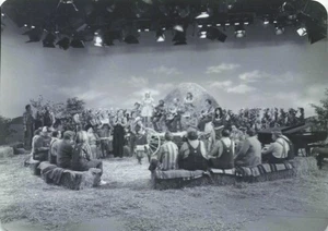 Don Harron on Set of Hee Haw Lot of 16 3.5x5 Photos with Negatives - Picture 1 of 16