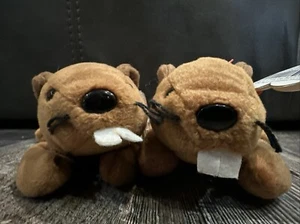 1995 Ty Original Beanie Babies Bucky The Beaver Lot Of 2 - Picture 1 of 5