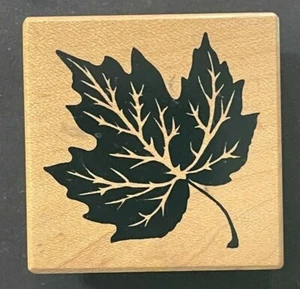 Maple Leaf Fall Autumn Season Nature Plant Forest Botanical Wood Rubber Stamp - Picture 1 of 4