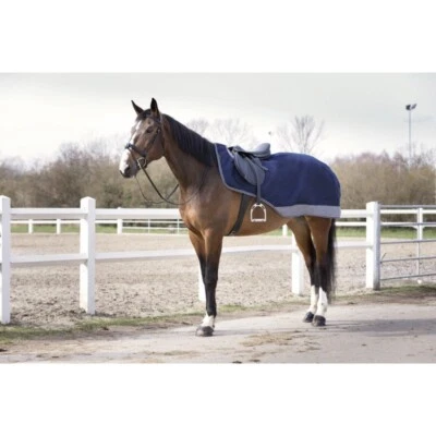 RIDING WORLD WASSERDICHT TRAININGSBLATT PFERDEPPICH Rip-Stop 600D