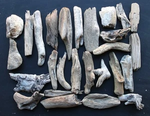 Madera flotante Driftwood 27 minis más grandes decoración 9 -21 cm *256* - Imagen 1 de 17