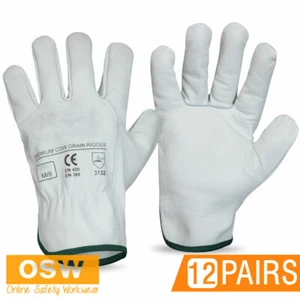 12 x BN Natural Cow Grain Leather Work Gloves - Truckers/Truck/Outdoor/Riggers - Picture 1 of 4