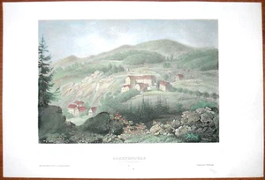 1860 Meyer print GRÄFENBERG LAZNE JESENIK, CZECH REPUBLIC, #20 - Picture 1 of 1