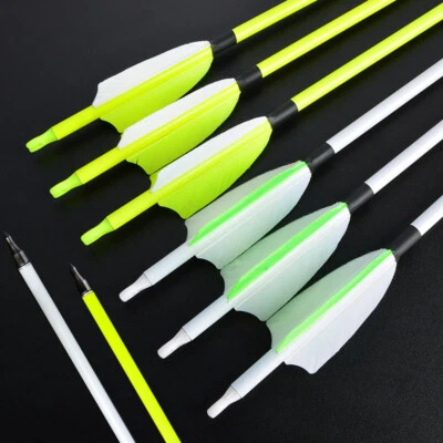 Archery Carbon Arrows 30" SP500 Feathers Tips Recurve Compound Bow Hunting Shoot - Image 1 of 4