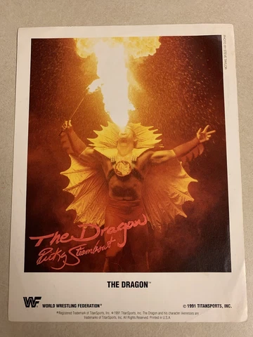 WWF Promo Photo Lot Steamboat Dynamite Kid CM Punk & More + Dustin Rhodes Poster Cover