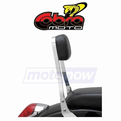 Cobra Standard Square Sissy Bar for 1987-1996 Honda VT1100C Shadow - Seats kl - Imagem 1 de 4
