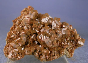 RARE BICOLOR BANDED VANADINITE BARREL CRYSTALS, ACF MINE MOROCCO, GLOBE MINERALS - Picture 1 of 4
