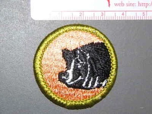 Insignia de cerdo de mérito Boy Scout producción '76-'06 3407N - Imagen 1 de 1
