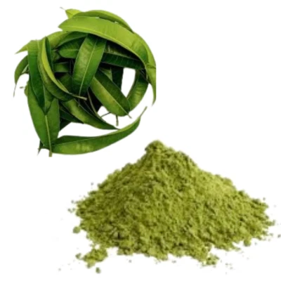 Hojas de mango seco en polvo orgánico casero envío gratuito desde Sri Lanka [85 g] Foto 1 de 2