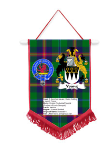 Young Scottish Clan Car / Wall Pennant With Red Border Fantastic Souvenir 
