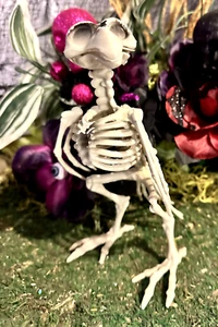 6 1/2" hoch Kunststoff KRÄHE Skelett Halloween Regal Mantel Sitter Knochen - Bild 1 von 3