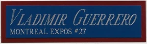 VLADIMIR GUERRERO ANGELS NAMEPLATE AUTOGRAPHED Signed Baseball Display CUBE CASE - Picture 1 of 1