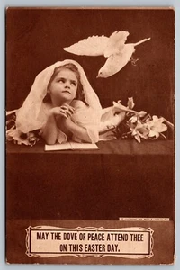 Tarjeta postal Paloma de la Paz Día de Pascua Tarjeta de estudio Roth & Langley Sepia c 1909 - Imagen 1 de 2