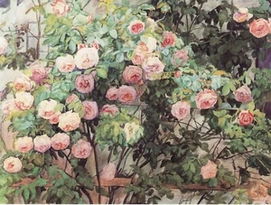 Postcard Anne Syberg "Roses" 1898 Faaborg Museum, Denmark MINT Unused - Picture 1 of 1