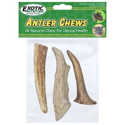 EXOTIC NUTRITION Antler Chews - Natural Source - Food for Chinchillas, squirrels and more