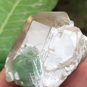 Raro cristal de turmalina verde azulado en cuarzo ahumado terminado, 26,78 gramos AFG - Imagen 1 de 13