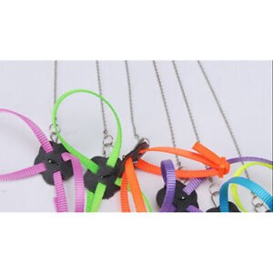 Adjustable lizard traction rope Reptile traction rope Multicolor traction rope