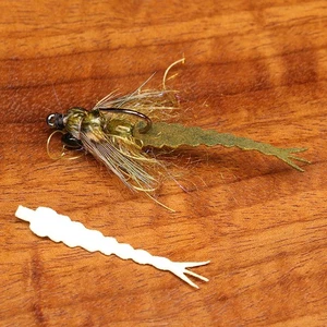 Cohen's Damsel Tail - Picture 1 of 1