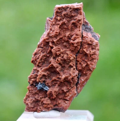 Hématite & Jaspe rouge 33 grammes - Saphoz, Esmoulières, Haute-Saône, France - Photo 1/4