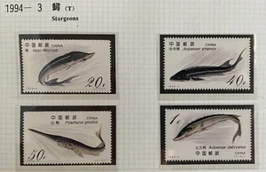 China Briefmarken 1994-3 Scott #2488-61 China Sturgeon Einzelsatz, neu - Bild 1 von 1