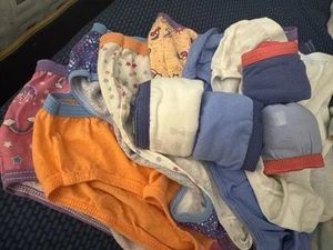 Hanes Girls Lot 11 Multicolor Briefs Underwear Size 14 NWOT #25 - Picture 1 of 3