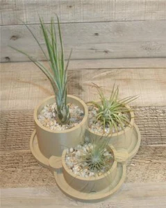Indoor Planter 3 Round Container Pot Succulent Air Plants Cactus 3D Printed 6" - Picture 1 of 9