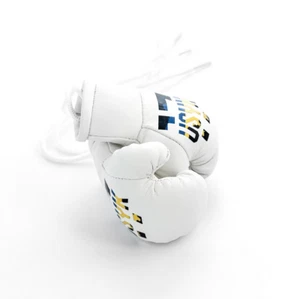 Mini Guantes de Boxeo USYK-17 Colgante Espejo Retrovisor Coche Colgante - ¡Ganador Usyk! - Imagen 1 de 4
