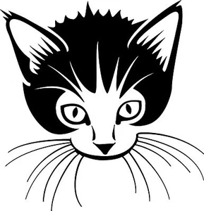 Cat Kitten Pet Animal Car Truck Window Wall Laptop Vinyl Decal Sticker - Picture 1 of 2