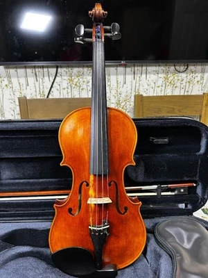 Stentor Elysia 4/4 Violin + BAM Stylus Case, Bow & Rosin – Excellent Setup - image 1 of 4