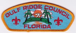 CSP - GULF RIDGE COUNCIL - S-4B - FUSIONIERT 2016 - Bild 1 von 1