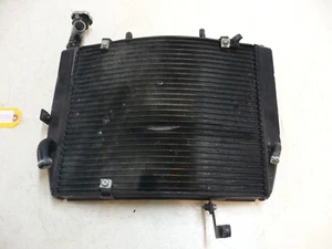 Radiador RADIADOR RAD TRIUMPH 09-12 2009 DAYTONA 675 FABRICANTE DE EQUIPOS ORIGINALES - Imagen 1 de 13