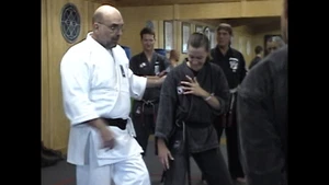 American Kenpo Karate Seminar Planas & La Bounty 1 DVD set ED Parker system - Picture 1 of 4