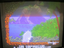 Toki Juju Densetsu PCB Jamma Original Arcade Tad 1989