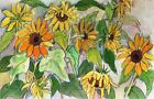 Framed Original Floral Watercolor Painting SUNFLOWERS IN MIST CR Basciano 9x13