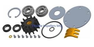 Raw sea water pump repair kit 25-12004 for Northern Lights 25-12057 25-15405 - Picture 1 of 1