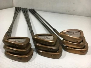 Bridgestone TANBEC TB-1 Iron Set 9pcs 4-Pw,Aw,Sw Flex R Regular HM-50J - Picture 1 of 4