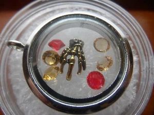 Esqueleto Calavera Mano Dije Flotante Vivir Memoria Búho Cristal Medallón 7p Halloween - Imagen 1 de 12
