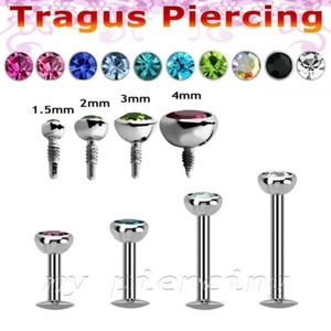 1 Stk. 16G Chirurgenstahl Innengewinde CZ Labret Monroe Knorpel Tragus - Bild 1 von 3