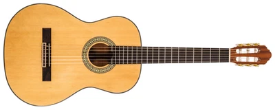 Guitarra de cuerda clásica de nailon Peavey Delta Woods® CNS-1™ Foto 1 de 4